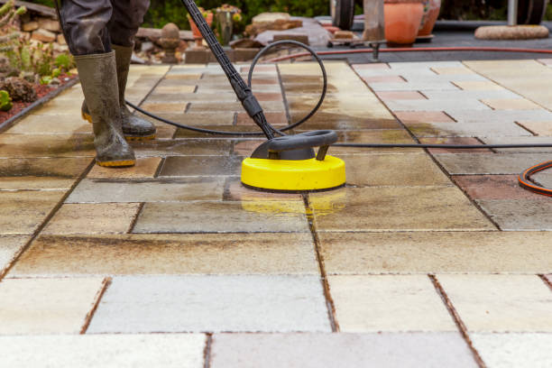 Best Roof Washing  in Loudon, TN